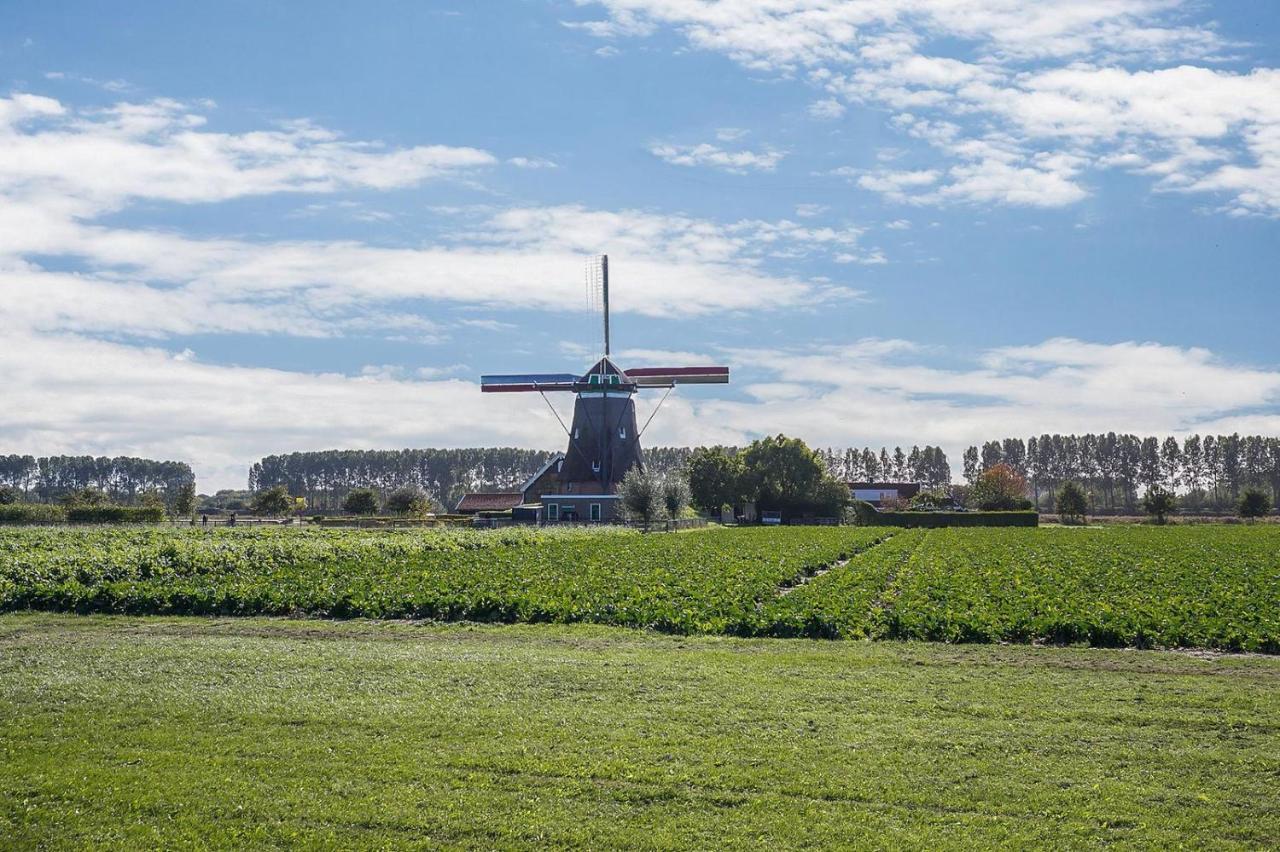 Slapen Aan De Voet Van De Molen Ovezande Εξωτερικό φωτογραφία